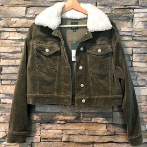 Olive Green Corduroy Jacket by Wild Fable